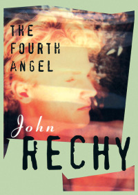 Cover image: The Fourth Angel 9781555847272