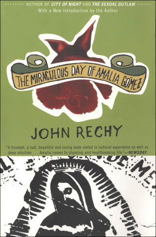 Cover image: The Miraculous Day of Amalia Gómez 9780802138477