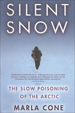 Imagen de portada: Silent Snow 9780802142597
