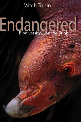 Cover image: Endangered 1st edition 9781555917210