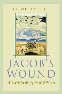 Cover image: Jacob's Wound 1st edition 9781555916169