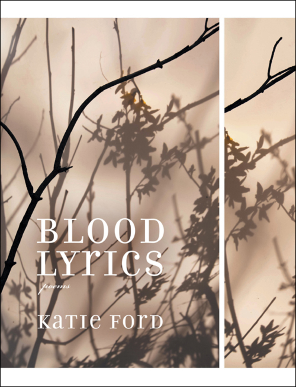 Blood Lyrics Poems