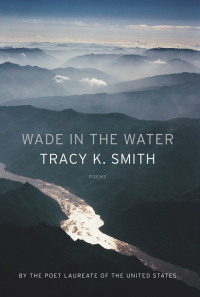 Cover image: Wade in the Water 9781555978136