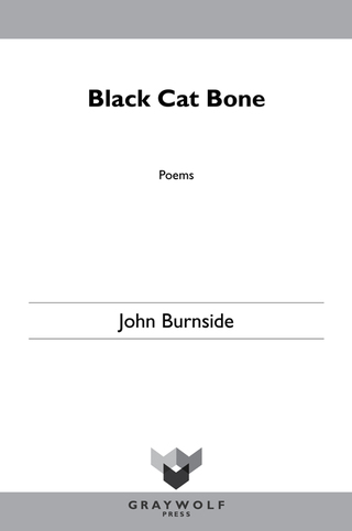 Cover image: Black Cat Bone 9781555977146