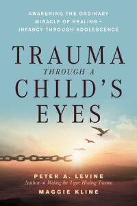 Cover image: Trauma Through a Child's Eyes 9781556436307