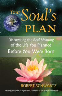 Cover image: Your Soul's Plan 9781583942727
