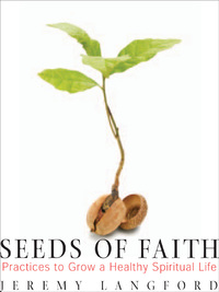 Imagen de portada: Seeds of Faith: Practices to Grow a Healthy Spiritual Life 9781557254399