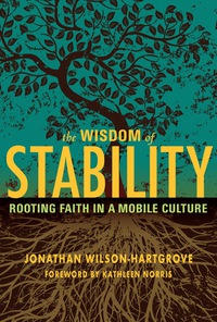 Omslagafbeelding: The Wisdom of Stability 9781557256232