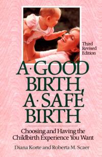 Cover image: A Good Birth, A Safe Birth 9781558320413