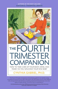 Titelbild: The Fourth Trimester Companion 9781558328877