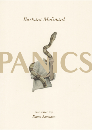 Imagen de portada: Panics 9781558612952