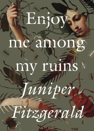 Cover image: Enjoy Me Among My Ruins 9781558613829