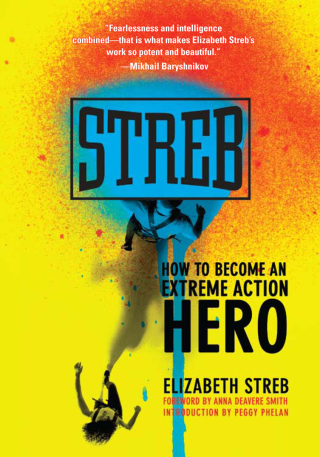 Titelbild: Streb 9781558616561