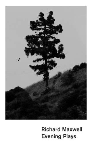 表紙画像: Evening Plays 9781559365819