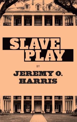 Cover image: Slave Play 9781559369787