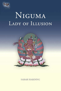 Cover image: Niguma, Lady of Illusion 9781559393614