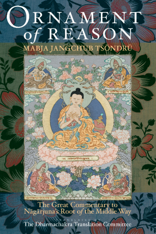 Cover image: Ornament of Reason 9781559393683