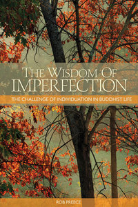 Cover image: The Wisdom of Imperfection 9781559393492