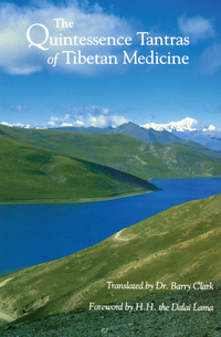 Cover image: The Quintessence Tantras of Tibetan Medicine 9780834829817