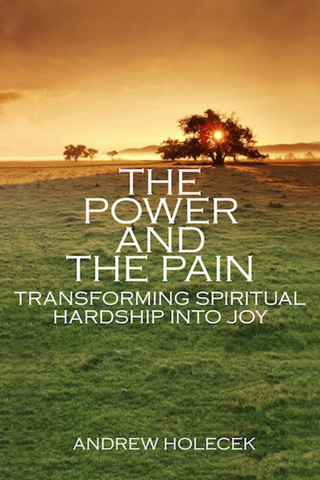 Cover image: The Power and the Pain 9781559393317