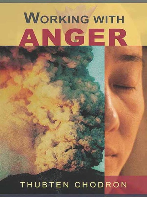 Working with Anger - FULL INSTANT DOWNLOAD | PDF DOCX EPUB
