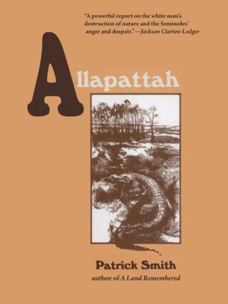 Cover image: Allapattah 9781561645657