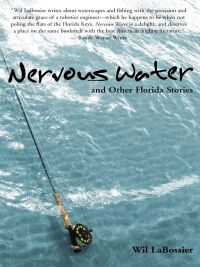 Immagine di copertina: Nervous Water and Other Florida Stories 9781561643240
