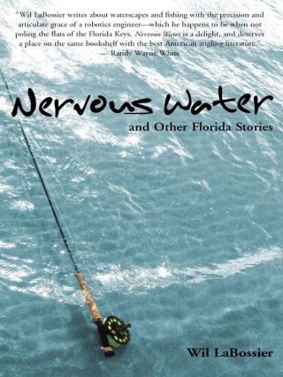 Cover image: Nervous Water and Other Florida Stories 9781561643240