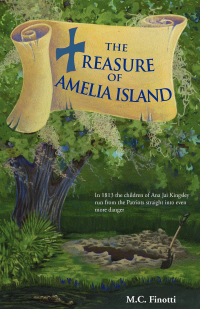 Titelbild: The Treasure of Amelia Island 9781561645367