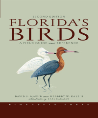 Omslagafbeelding: Florida's Birds 2nd edition 9781561643356