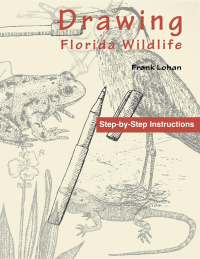 Omslagafbeelding: Drawing Florida Wildlife 9781561640904