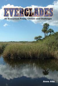 Immagine di copertina: Everglades 9781561644100