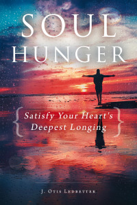 Cover image: Soul Hunger 9781563091513