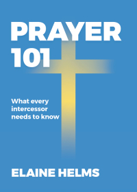 Imagen de portada: Prayer 101 9781563092459