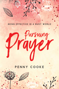 Cover image: Pursuing PRAYER 9781563092879