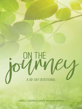 Cover image: On the Journey 9781563093142
