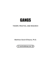Cover image: Gangs 1st edition 9781933778198