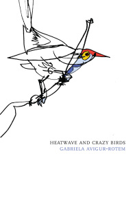 表紙画像: Heatwave and Crazy Birds 9781564786432