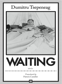 صورة الغلاف: Waiting: stories 9781564789013