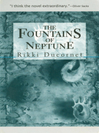 Titelbild: The Fountains of Neptune 2nd edition 9781564781550