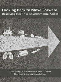 Cover image: Macbeth's Looking Back to Move Forward: Resolving Health & Environmental Crises 1st edition 9781585762279