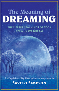 Imagen de portada: The Meaning of Dreaming 1st edition 9781565893061