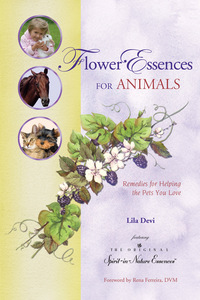 Cover image: Flower Essences for Animals 2nd edition 9781565891005