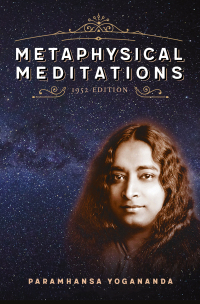 Cover image: Metaphysical Meditations 9781565891793