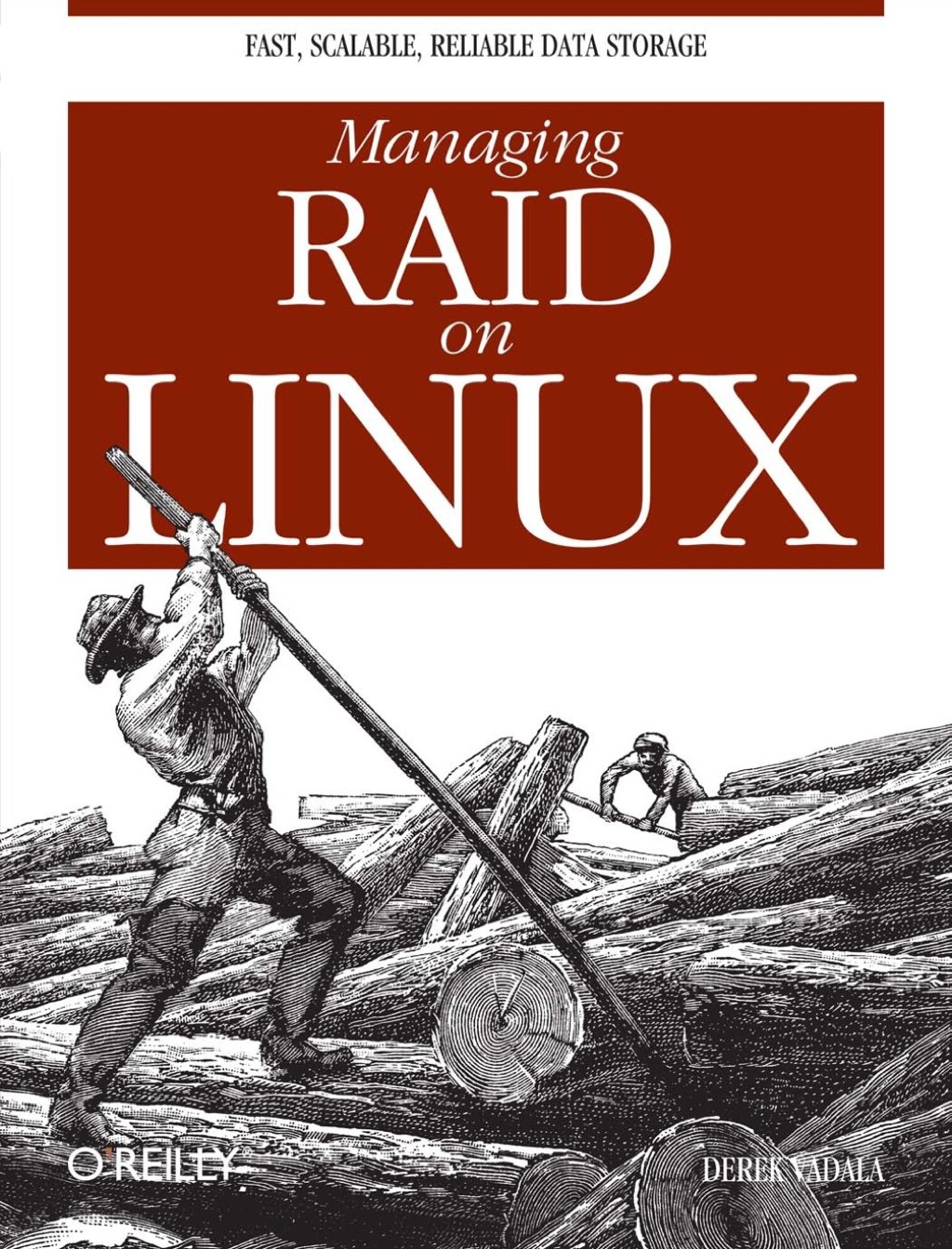 Managing RAID on Linux 1st Edition