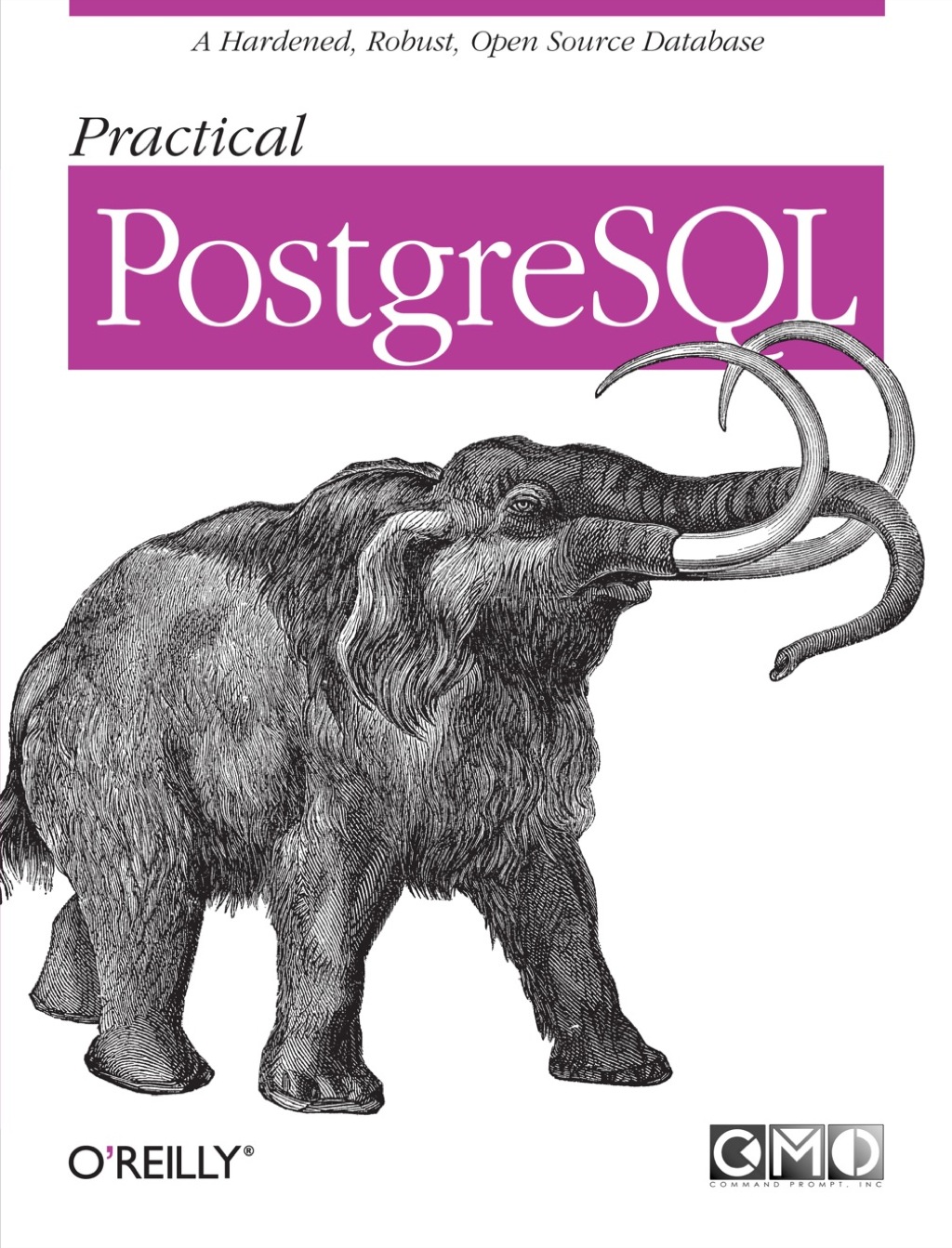 Practical PostgreSQL 1st Edition
