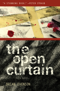 Cover image: The Open Curtain 9781566891882