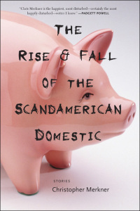 Cover image: The Rise & Fall of the Scandamerican Domestic 9781566893381