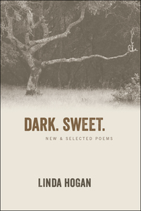 Cover image: Dark. Sweet. 9781566893510
