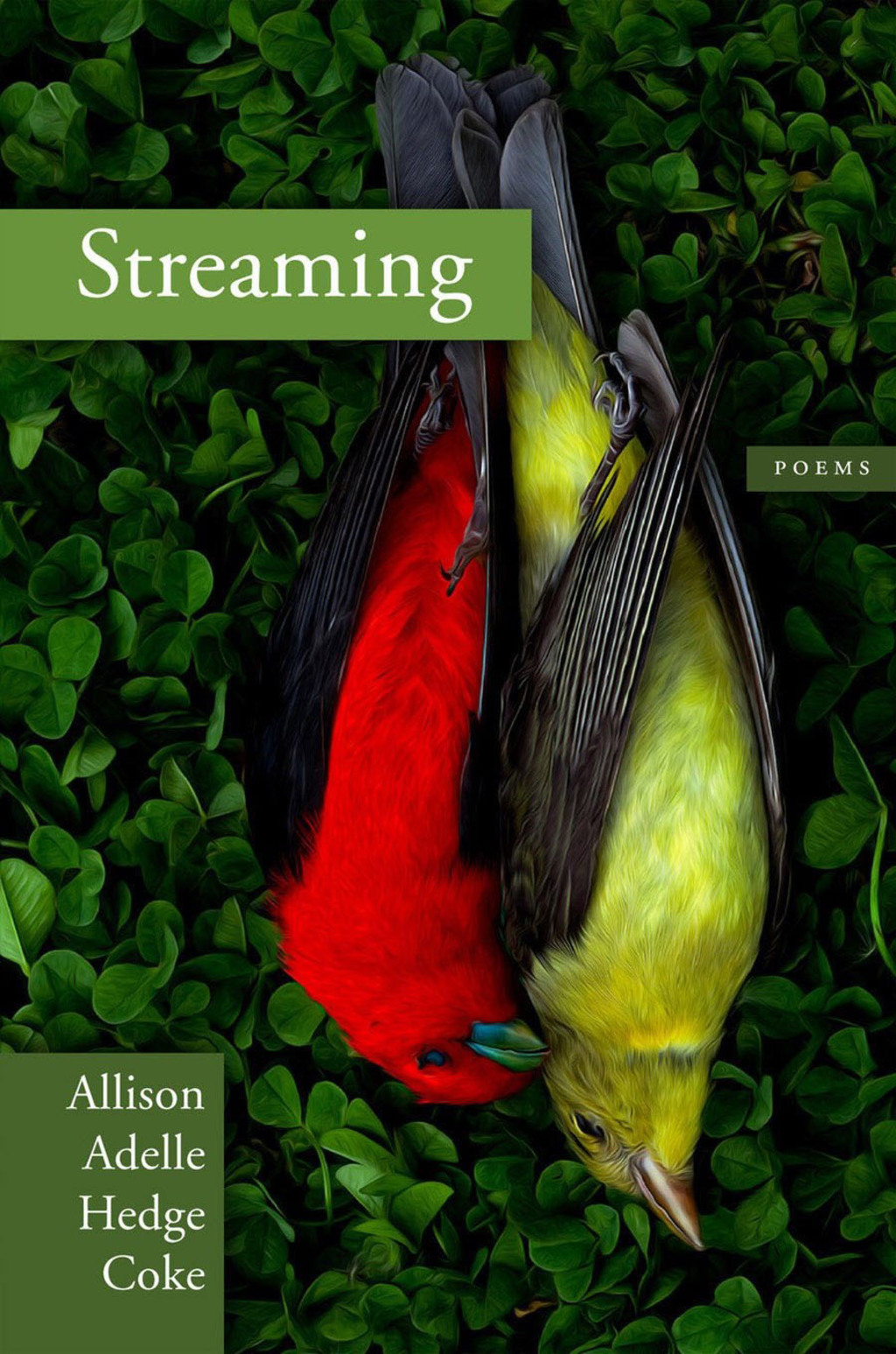 Streaming (eBook)